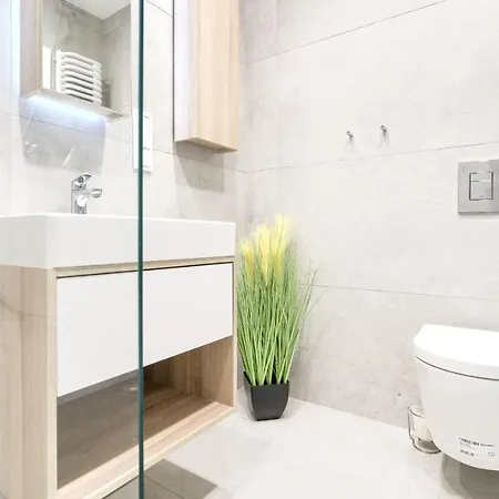 Shellter, Sun & Snow *