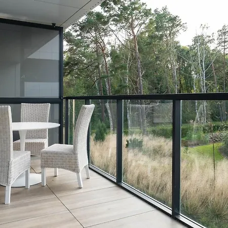 Shellter, Sun & Snow