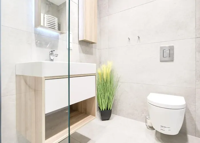 Shellter, Sun & Snow *