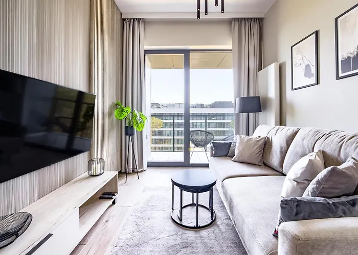 Shellter, Sun & Snow *